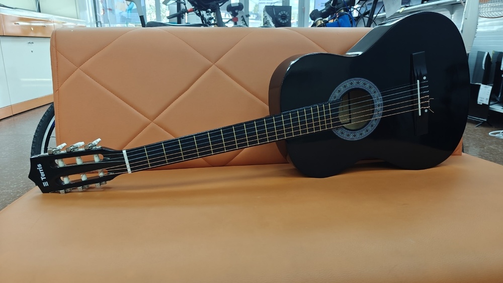 Гитара акустическая Terris TC-3801A