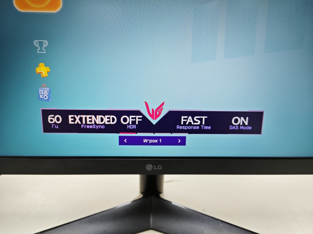 Монитор LG 24GS60F-B