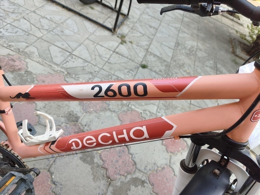 Велосипед ДЕСНА 2600