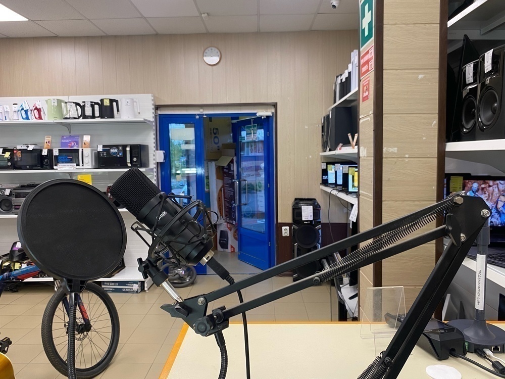 Микрофон RITMIX RDM 180