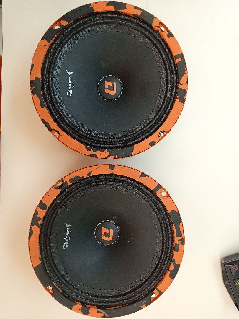 Автоакустика передняя DL Audio Barracuda 165