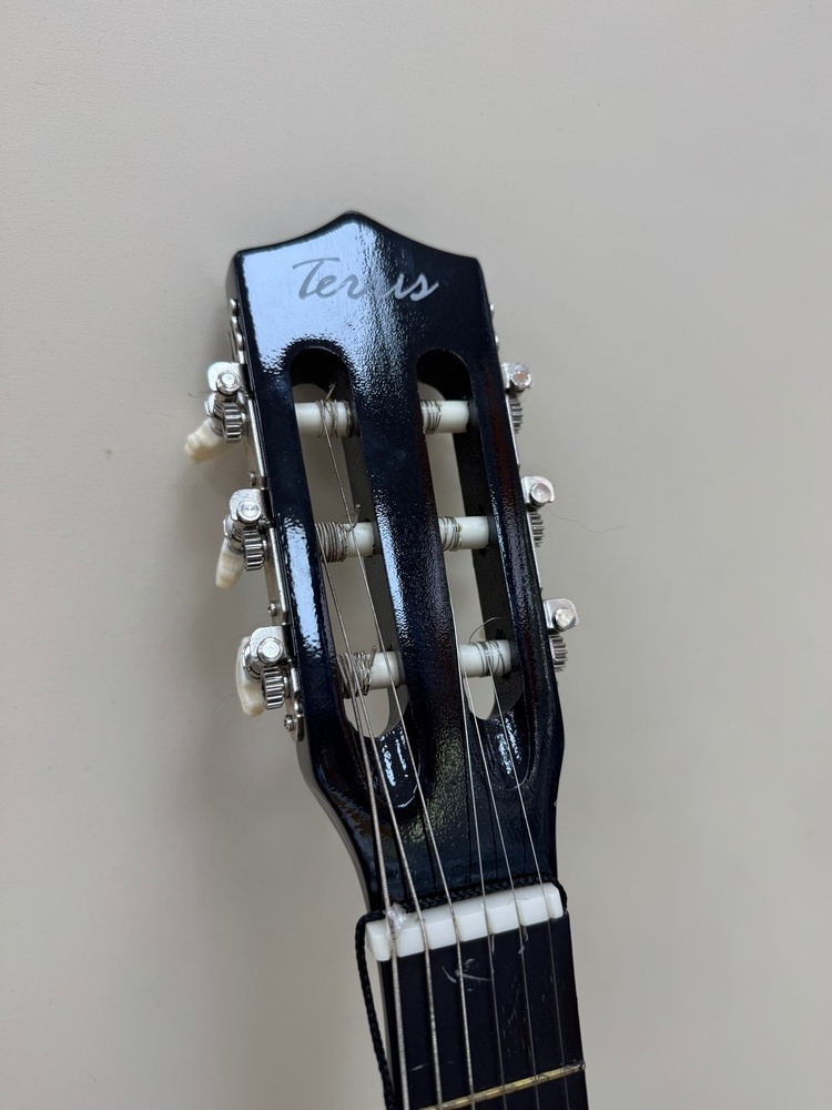 Акустическая гитара Terris ТС-3801A SB