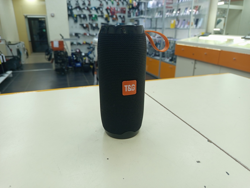Портативная акустика T&G TG106