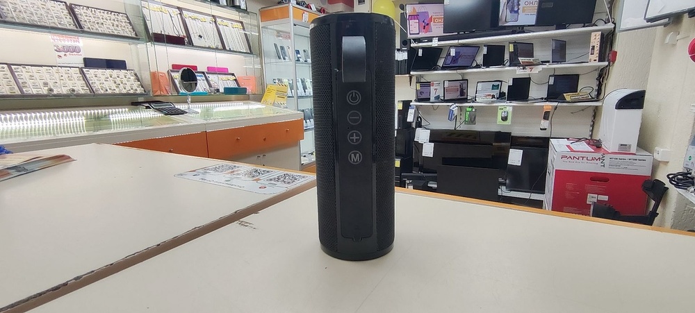 Портативная акустика T&G 113