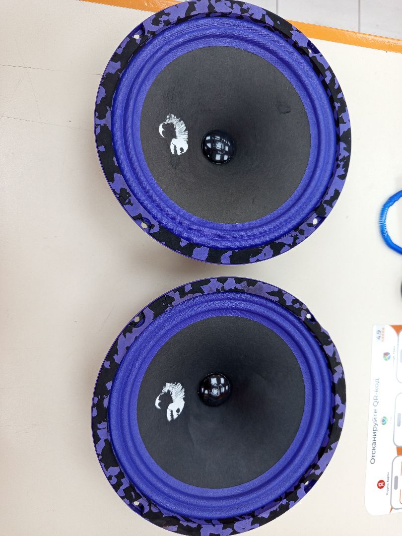 Автоакустика передняя DL Audio Piranha 165