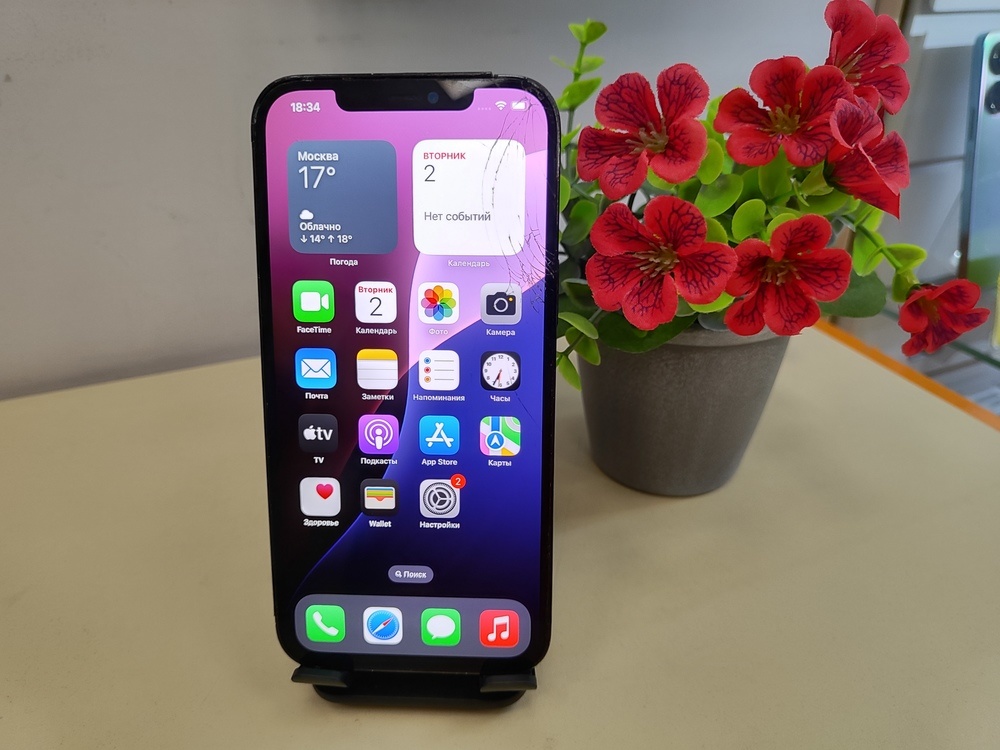 Смартфон Apple iPhone 12 Pro Max 256Gb