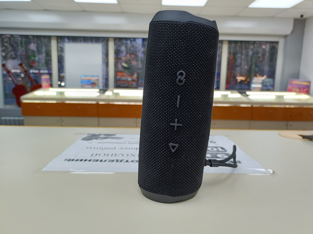 Портативная акустика JBL Flip 6;