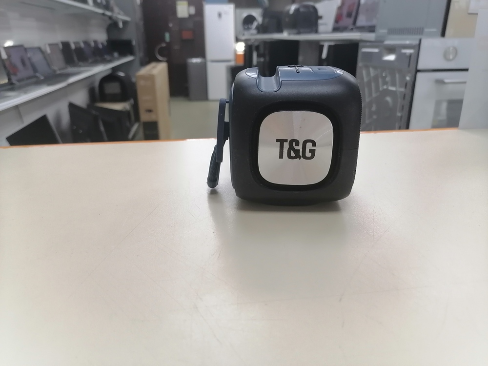 Портативная акустика T&G TG-359