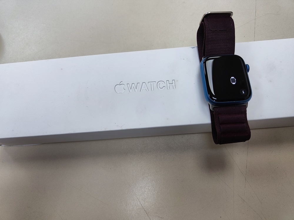 Смарт-часы Apple Watch Series 7 45mm