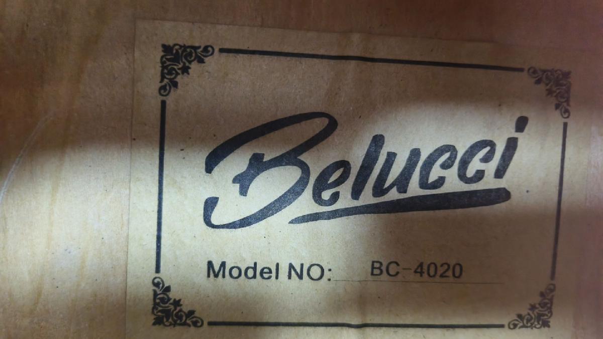 Гитара акустическая Belucci BC4020 RDS