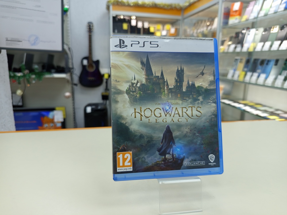 Игра Playstation 5 Hogwarts Legasy