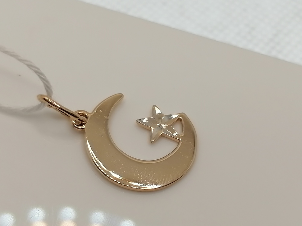 ПОДВЕСКА БЕЗ КАМНЯ Au 585