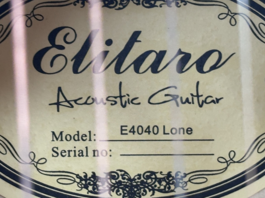 Гитара акустическая Elitaro E4040 Lone