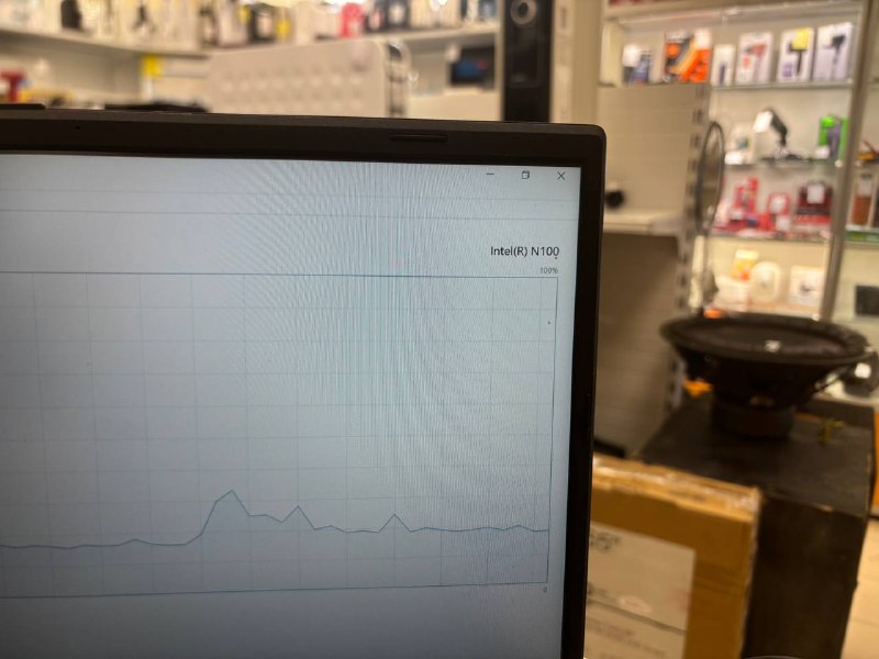 Ноутбук ASUS;  N100, Intel UHD Graphics, 8 Гб, 256 Гб, Нет