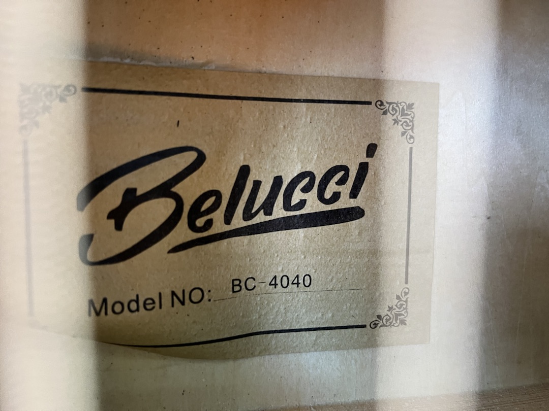 Гитара акустическая Belucci BC4040 (Skelet)