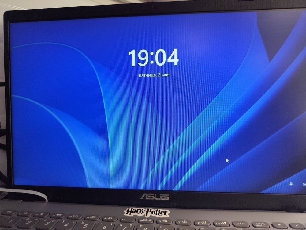 Ноутбук ASUS; Athlon 3050U, AMD Radeon (TM) Graphics, 8 Гб, 500 Гб, Нет