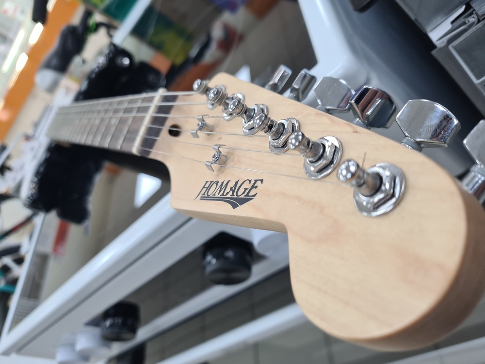 Электрогитара Homage HEG320SB