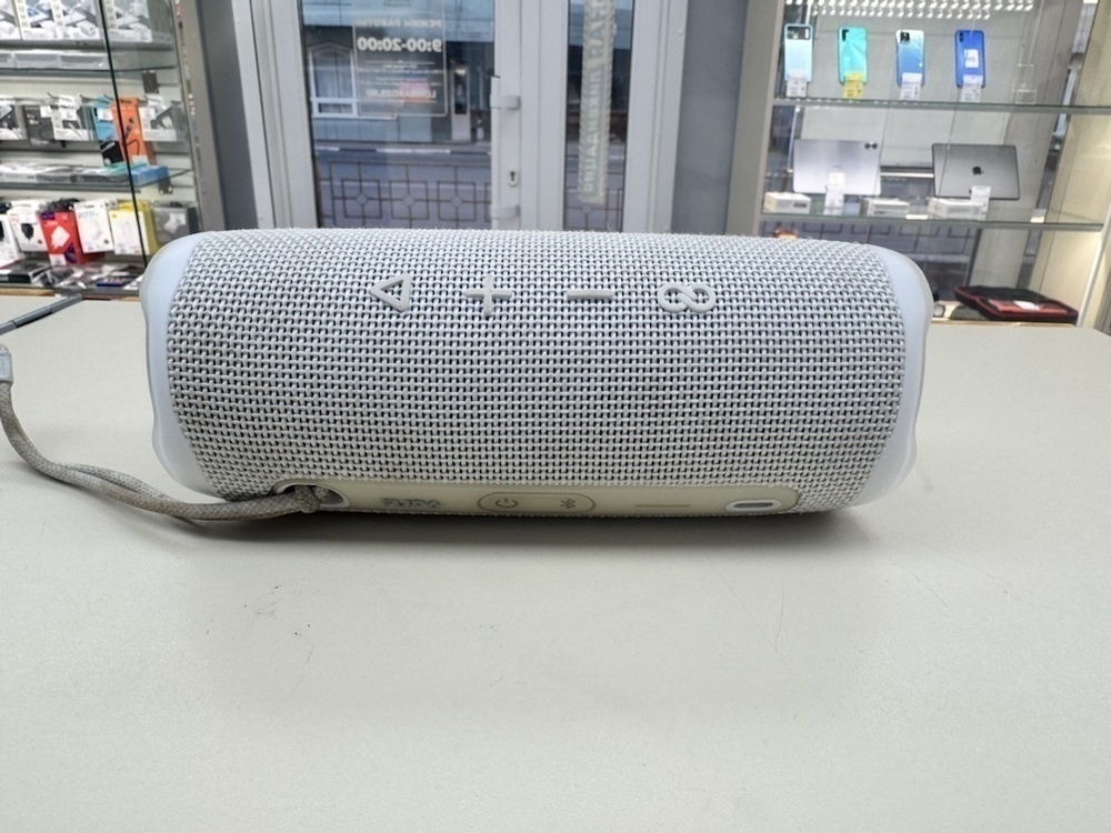 Портативная акустика JBL Flip 6;