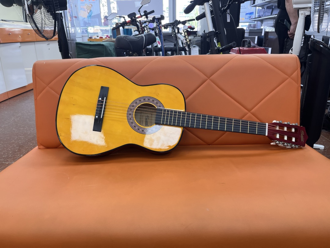 Гитара акустическая Belucci BC3605