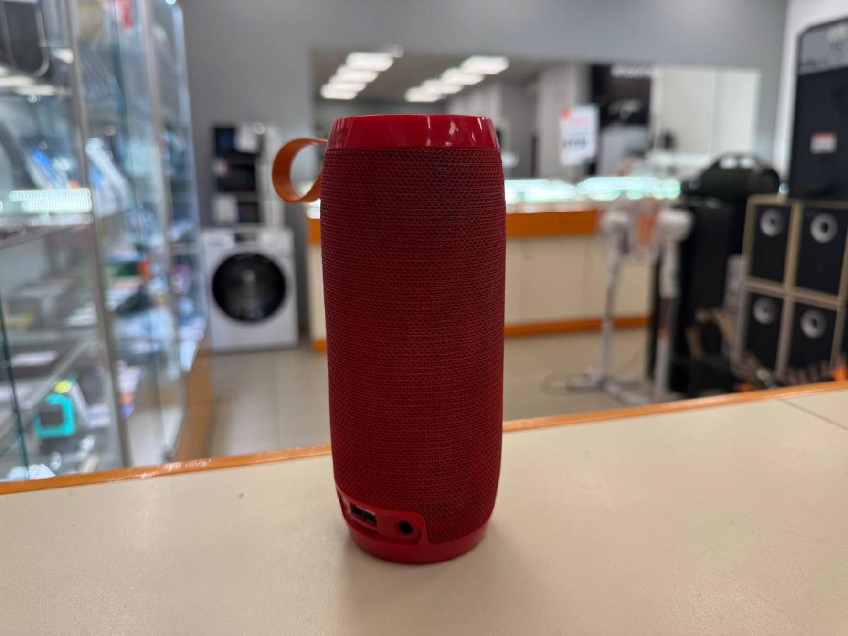 Портативная акустика T&G TG106