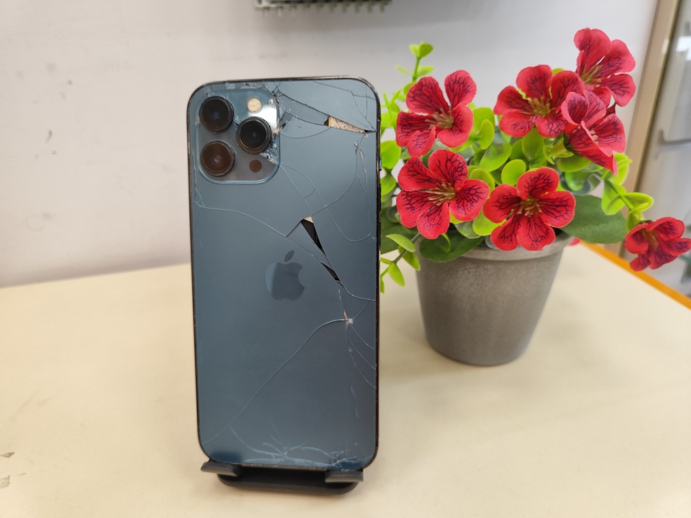 Смартфон Apple iPhone 12 Pro Max 256Gb