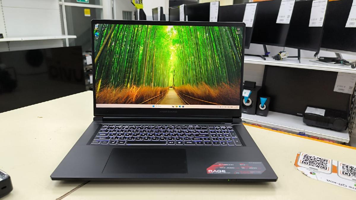 Ноутбук ARDOR Gaming; Core I5-12600H, Geforce RTX 4060, 16 Гб, 1 Tb, Нет
