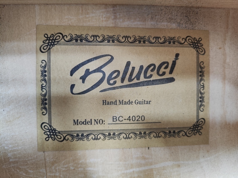Гитара акустическая Belucci BC4020 RDS