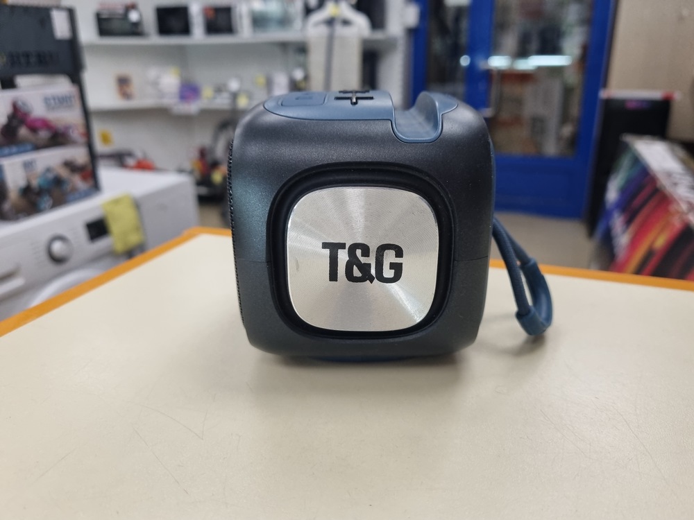 Портативная акустика T&G 113