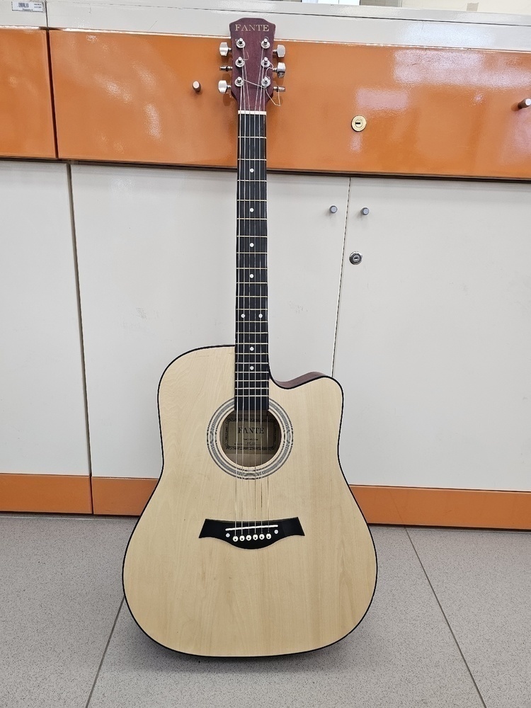 Гитара акустическая Fante FT-221
