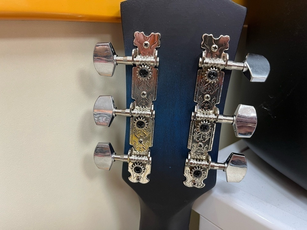 Гитара акустическая Belucci BC4020 BLS