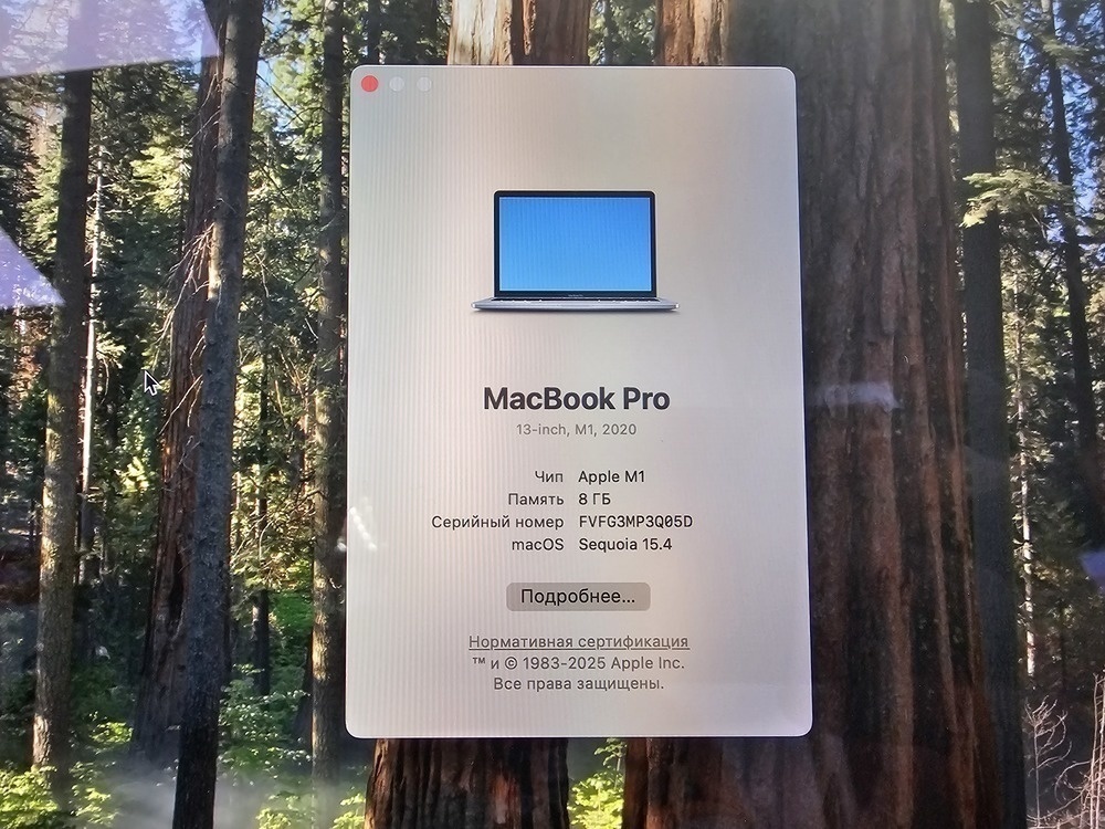 Ноутбук Apple MacBook Pro 13 2020; Apple M1, Нет, 8 Гб, 256 GB, Нет