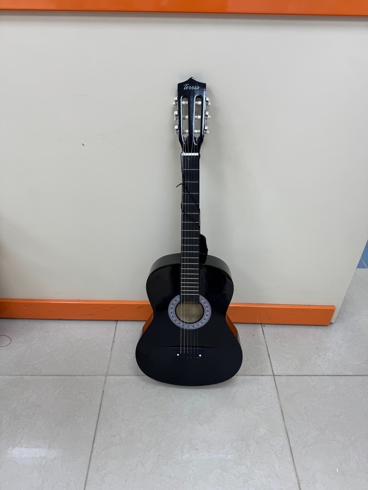 Акустическая гитара Terris ТС-3801A SB