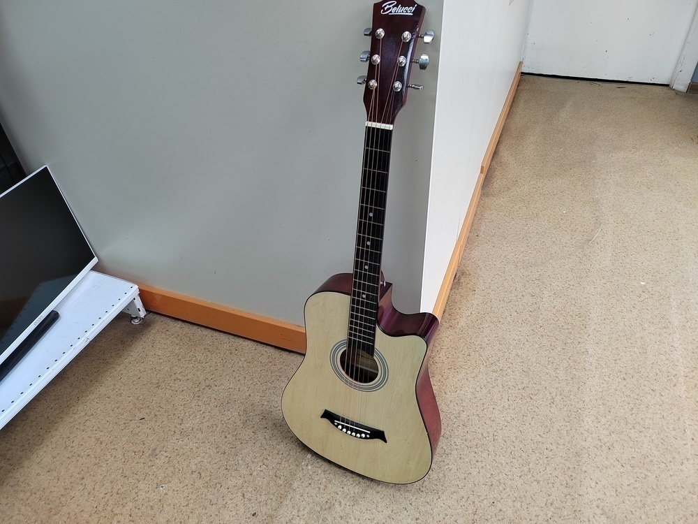 Гитара акустическая  BELLUCHI 3810