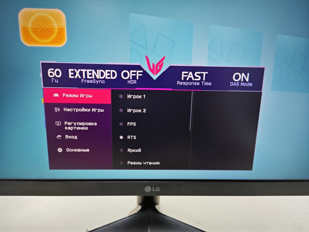 Монитор LG 24GS60F-B