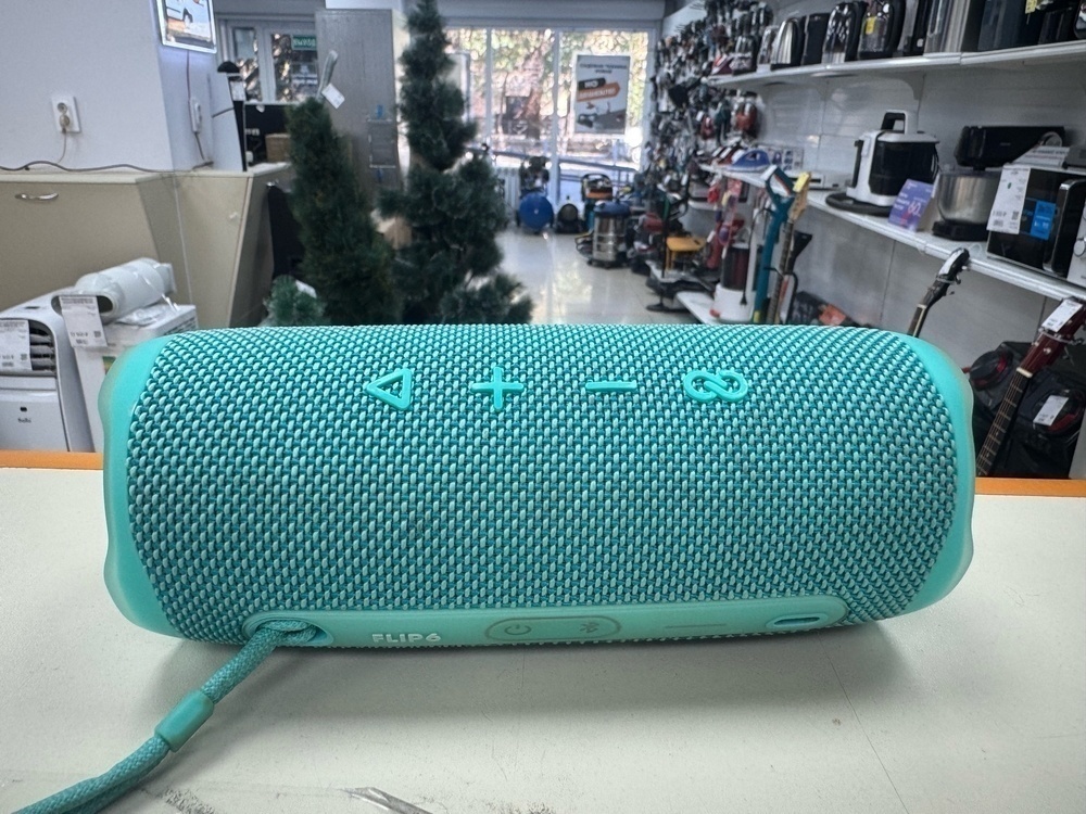 Портативная акустика JBL Flip 6;