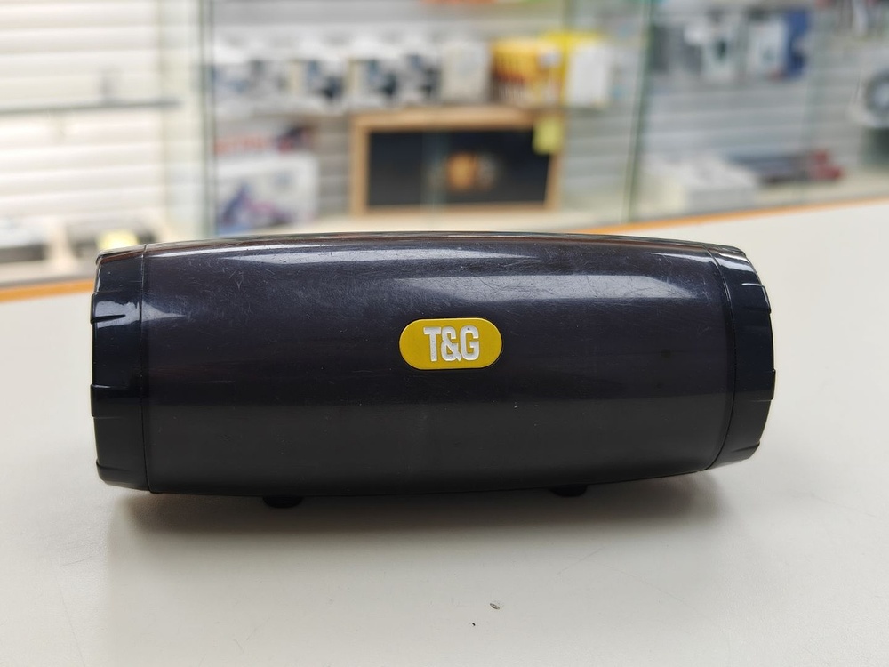Портативная акустика T&G 165;