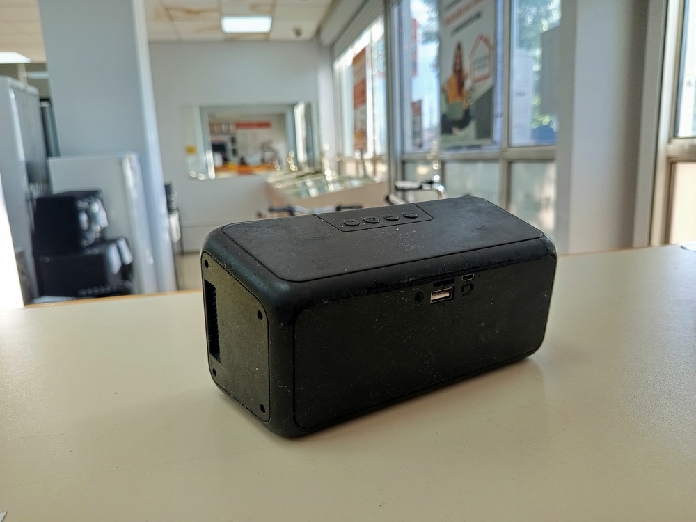 Портативная акустика DEXP P220