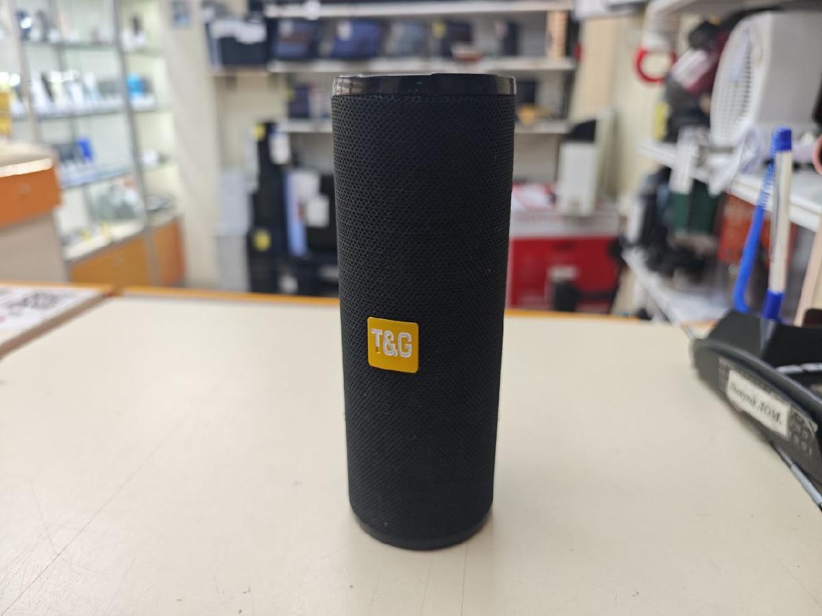 Портативная акустика T&G 113