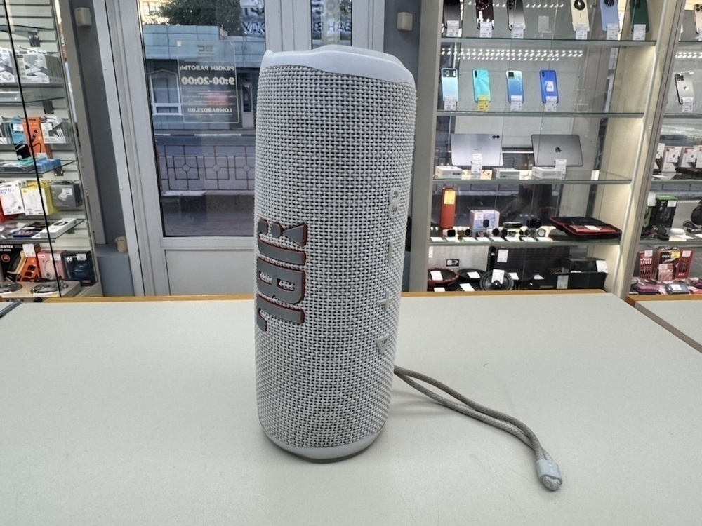Портативная акустика JBL Flip 6;