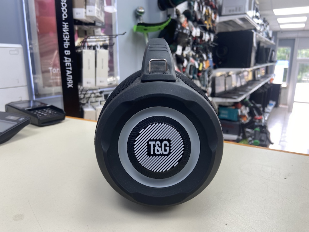 Портативная акустика T&G 395