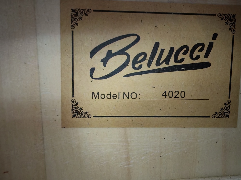 Гитара акустическая Belucci BC4020 BLS
