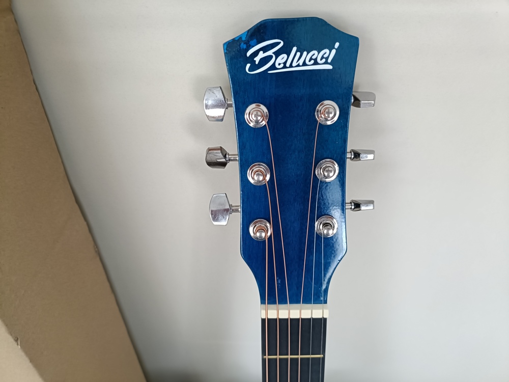 Гитара акустическая Belucci BC4010 BLS