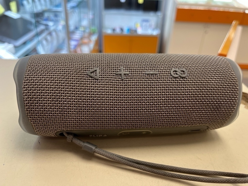 Портативная акустика JBL Flip 6;