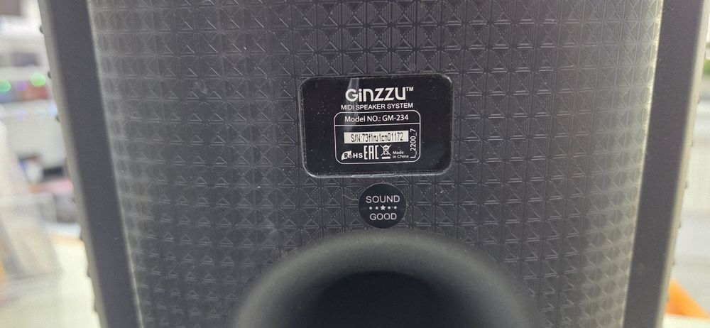 Портативная акустика Ginzzu GM-234