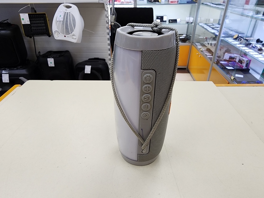 Портативная акустика T&G TG609;