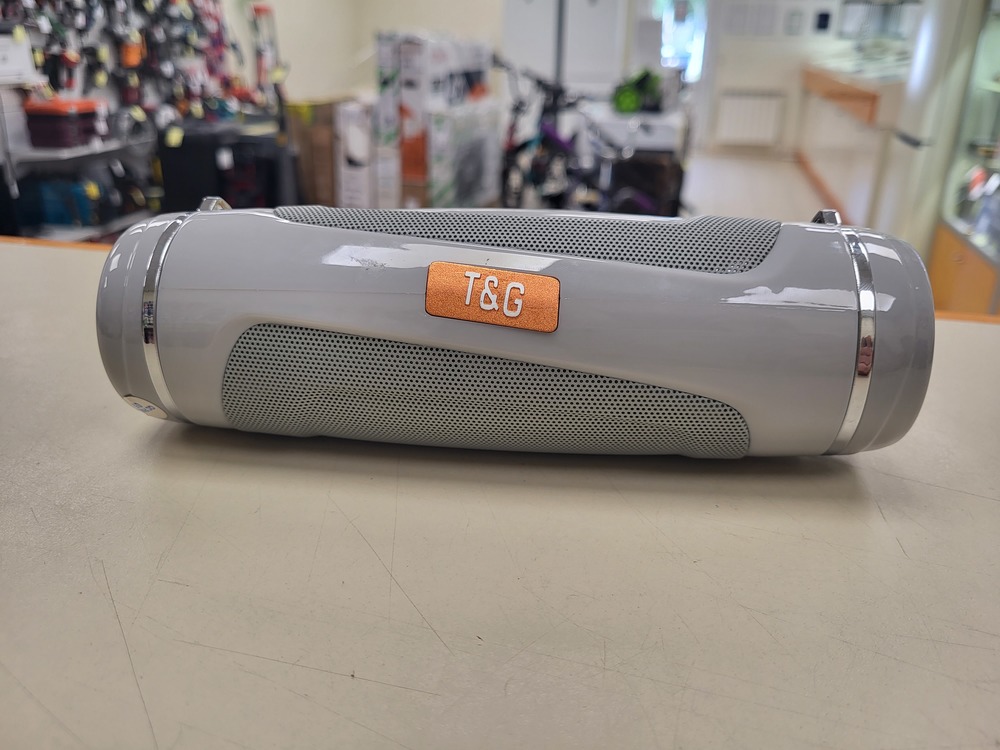 Портативная акустика T&G TG601
