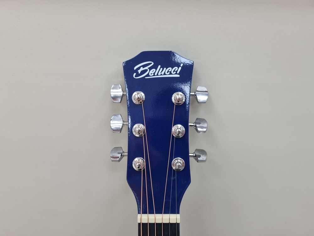 Гитара акустическая Belucci BC4010 BLS