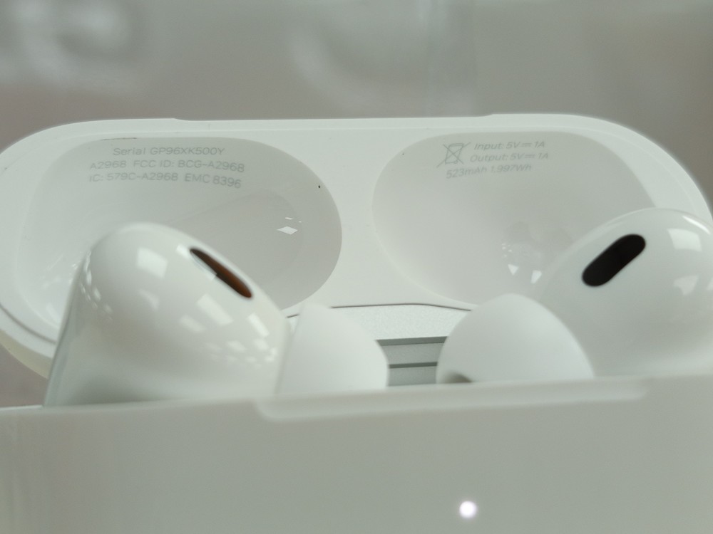 Наушники беспроводные Apple AirPods Pro 2 Case USB-C