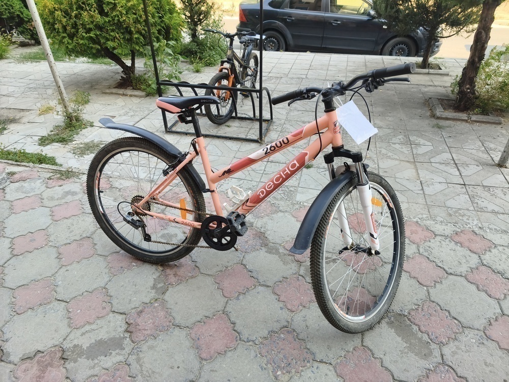 Велосипед ДЕСНА 2600
