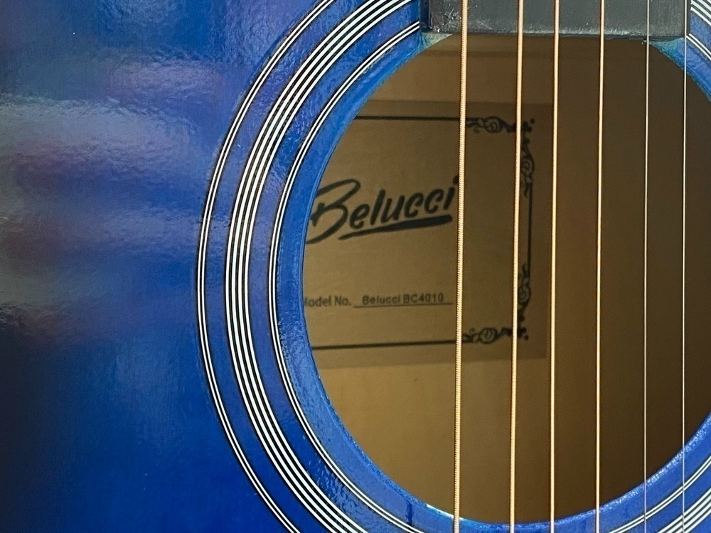 Гитара акустическая Belucci BC4010 BLS